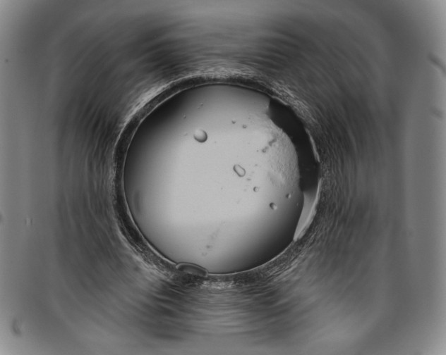 X0000096630440200802191200