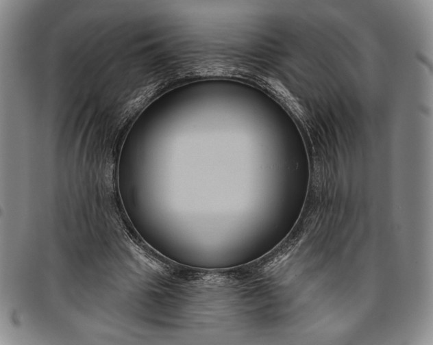 X0000096630441200802191200