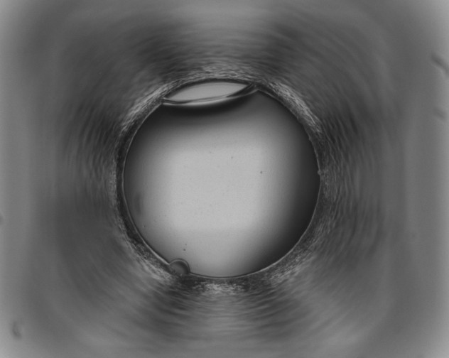 X0000096630442200802191200