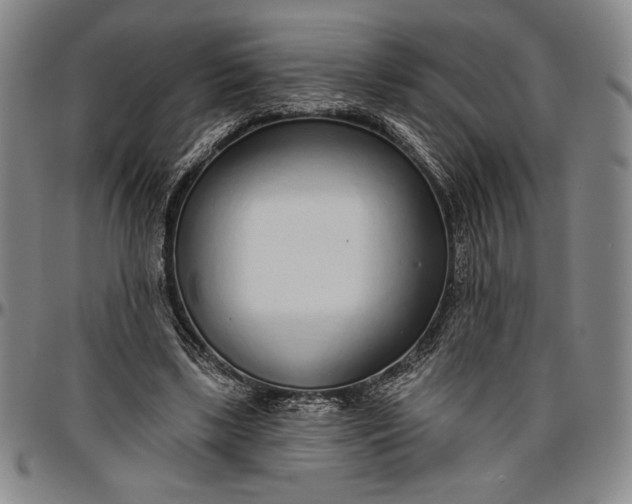 X0000096630443200802191200