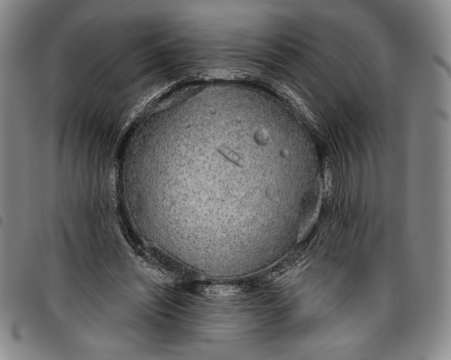 X0000096630444200802191200