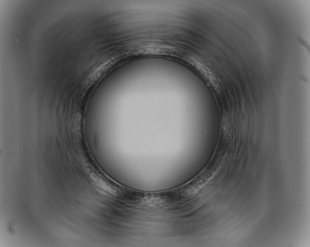 X0000096630445200802191200