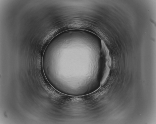 X0000096630446200802191200