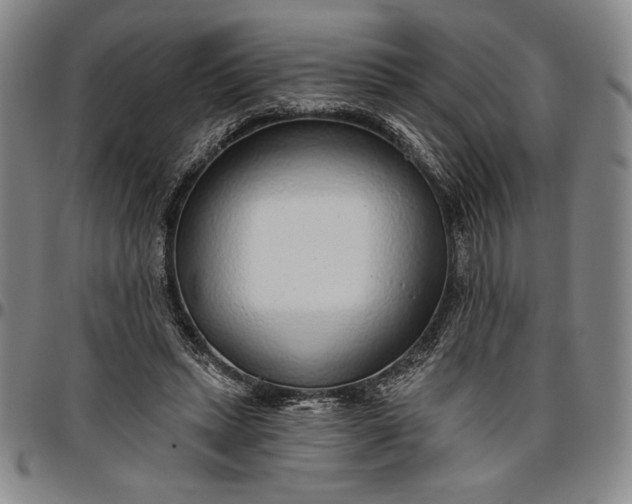 X0000096630447200802191200