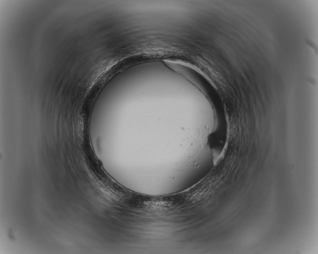 X0000096630448200802191200