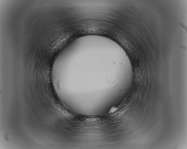 X0000096630450200802191200