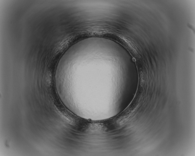 X0000096630451200802191200