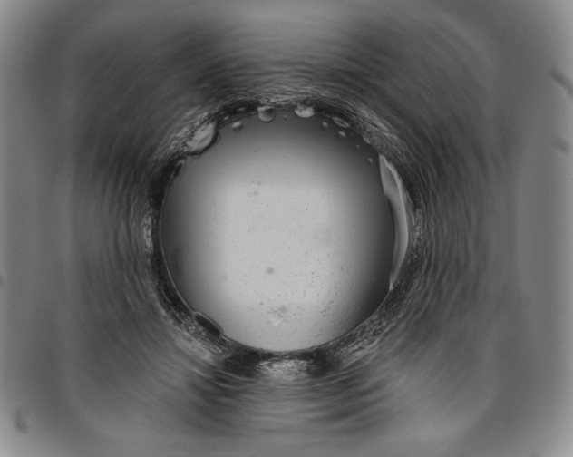 X0000096630452200802191200