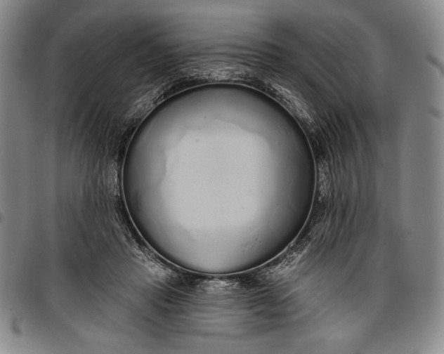 X0000096630453200802191200