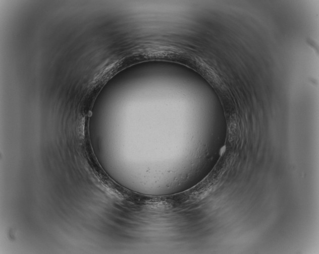 X0000096630454200802191200