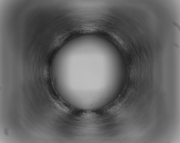 X0000096630455200802191200