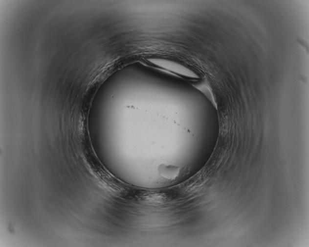 X0000096630456200802191200