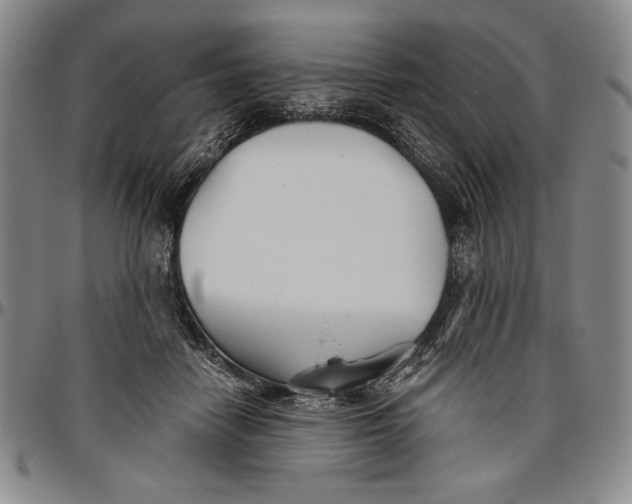 X0000096630458200802191200