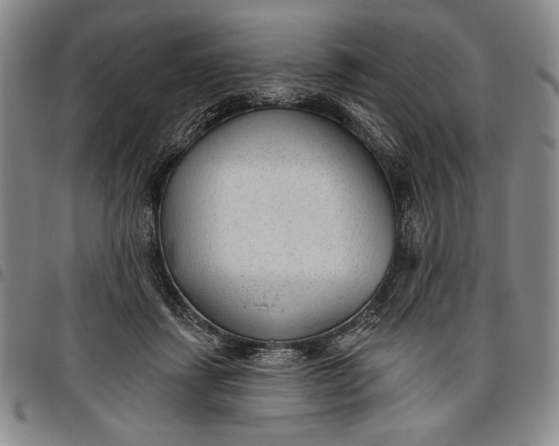 X0000096630459200802191200