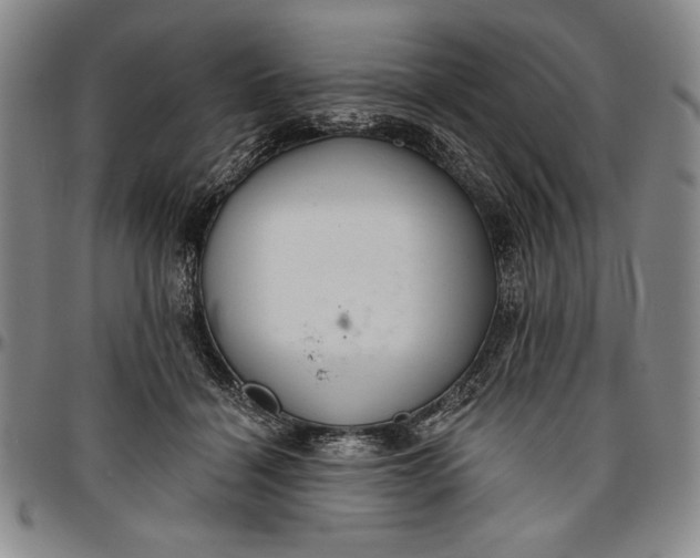 X0000096630460200802191200