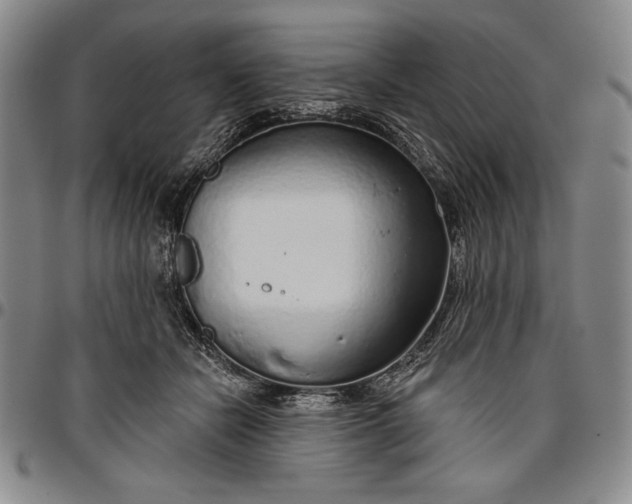 X0000096630462200802191200