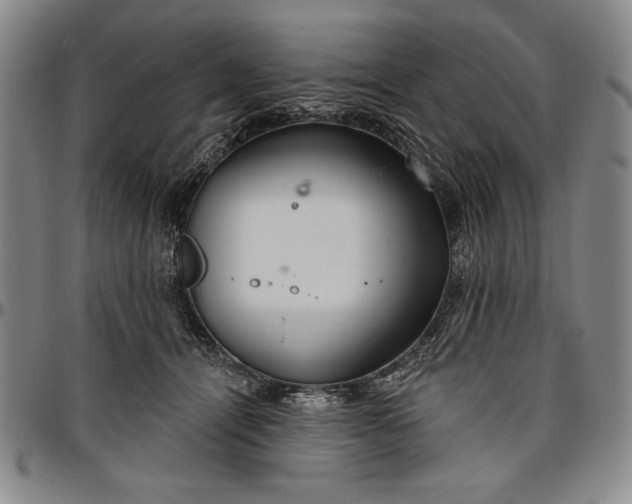 X0000096630464200802191200