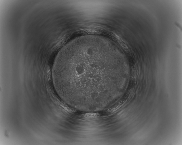 X0000096630465200802191200