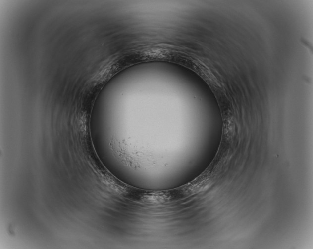 X0000096630466200802191200