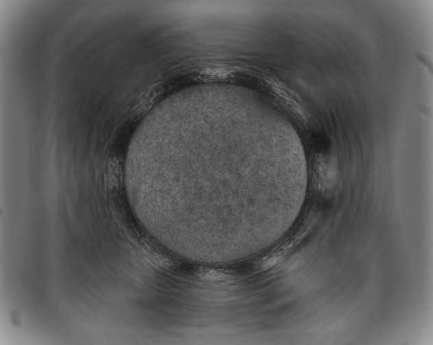 X0000096630467200802191200