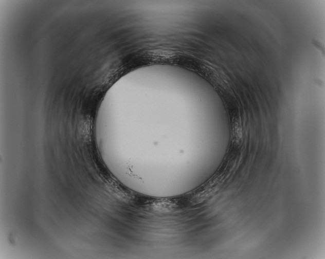 X0000096630468200802191200