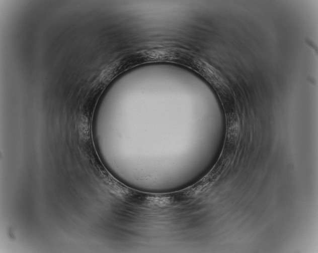 X0000096630469200802191200