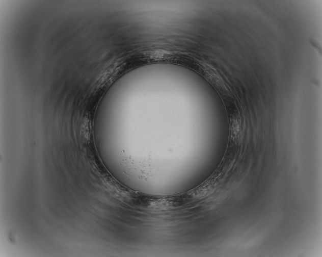 X0000096630470200802191200