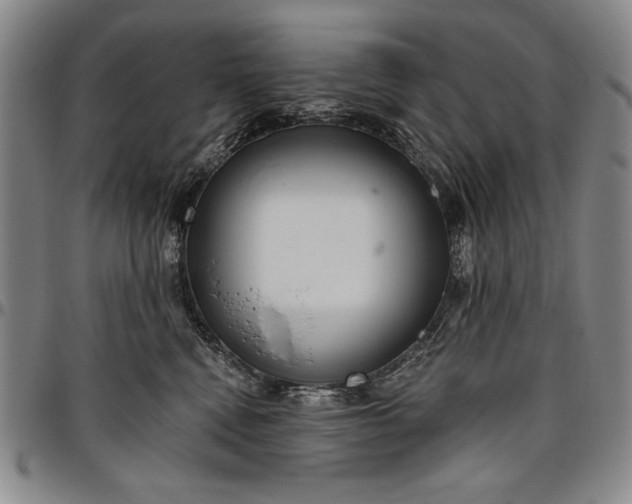 X0000096630472200802191201