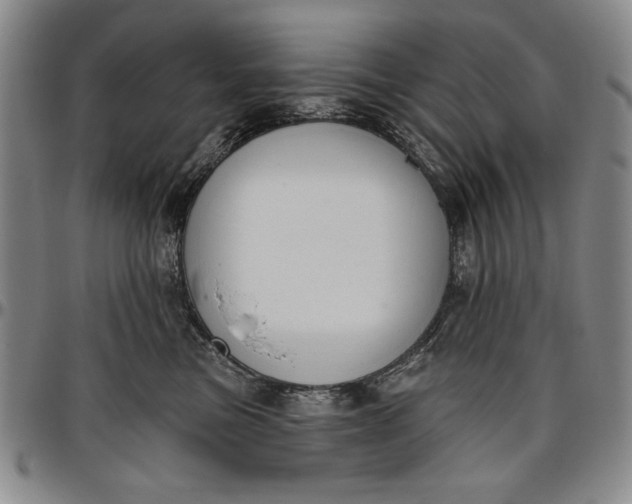 X0000096630473200802191201