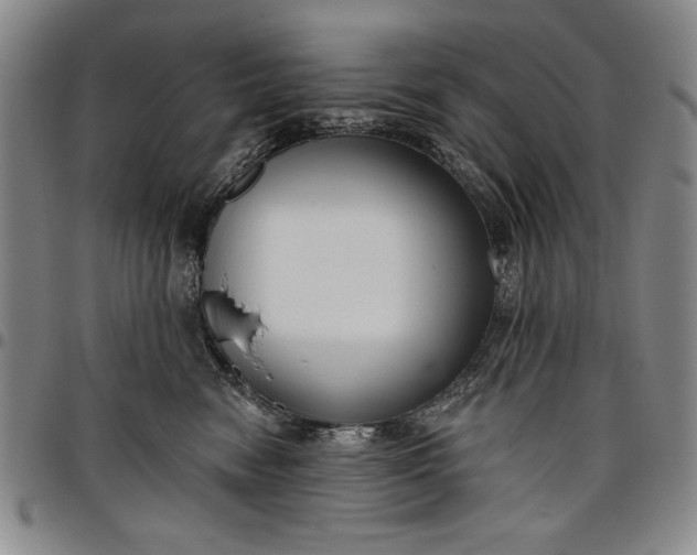 X0000096630474200802191201