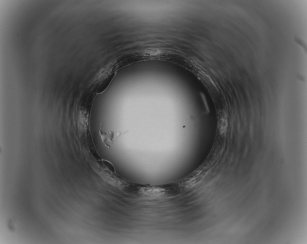 X0000096630476200802191201