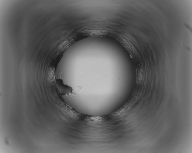 X0000096630478200802191201