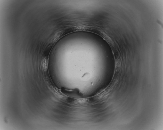 X0000096630479200802191201