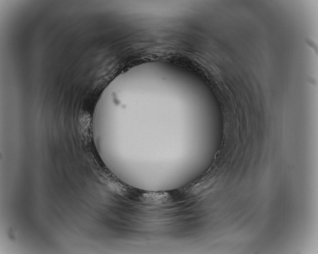 X0000096630480200802191201