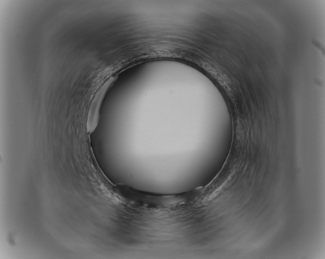X0000096630481200802191200
