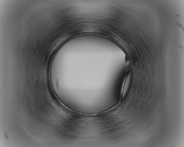 X0000096630482200802191200