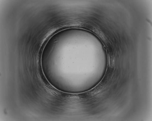 X0000096630483200802191200