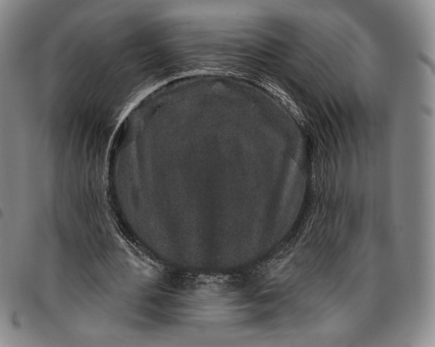 X0000096630484200802191200