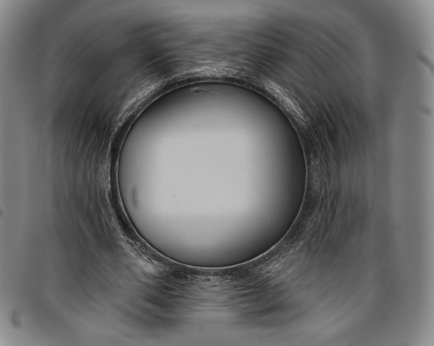 X0000096630486200802191200