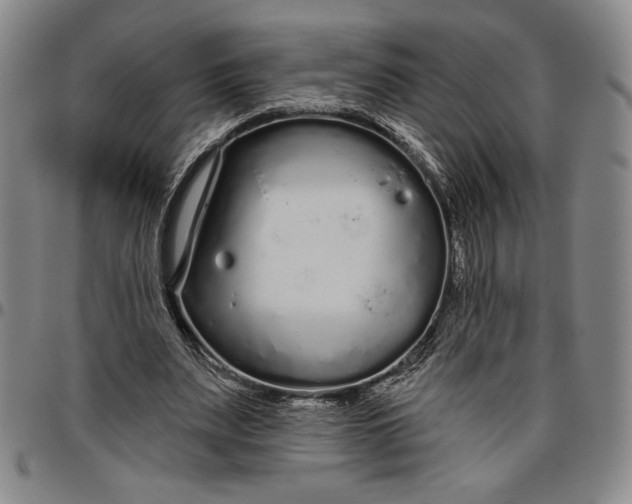 X0000096630487200802191200