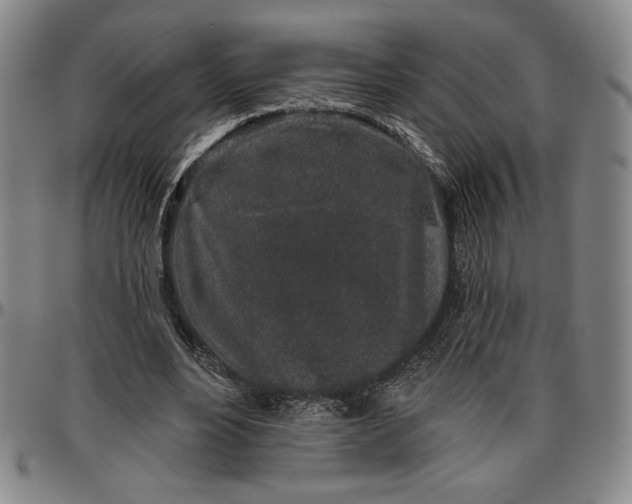 X0000096630488200802191200