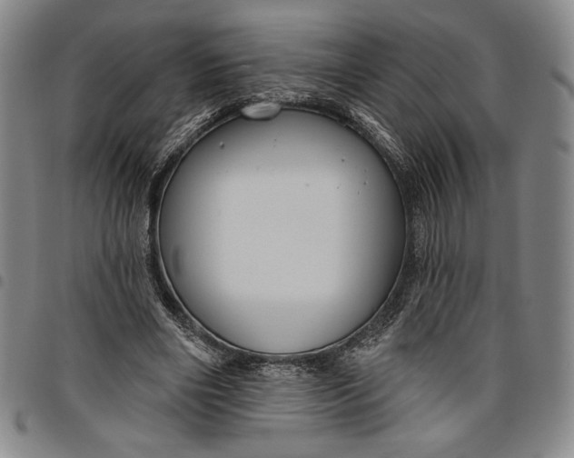 X0000096630490200802191200