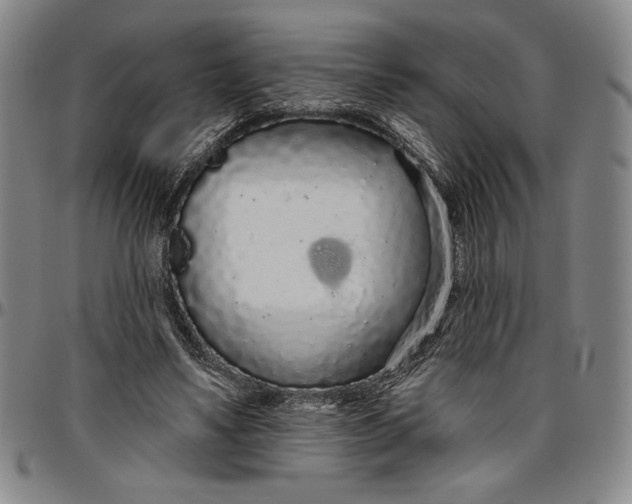 X0000096630491200802191200