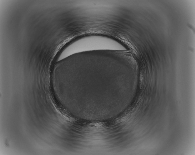 X0000096630492200802191200