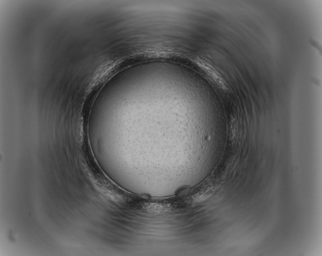X0000096630494200802191200