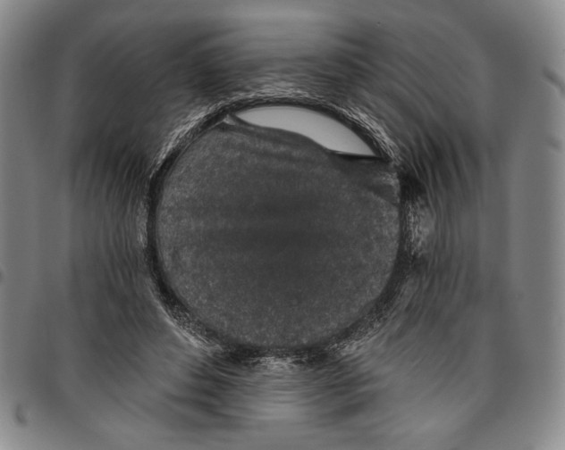 X0000096630496200802191200