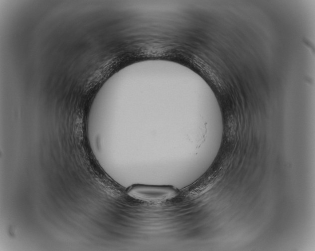 X0000096630497200802191200