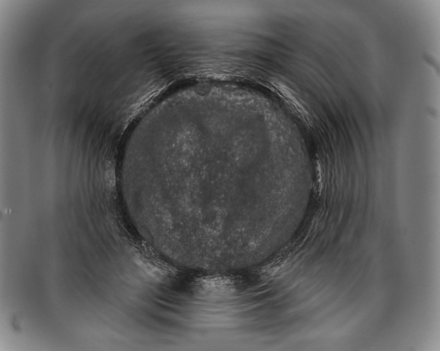 X0000096630500200802191200