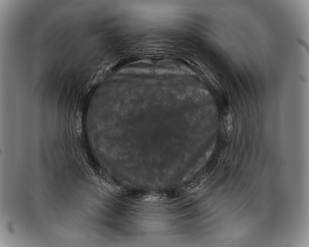 X0000096630504200802191159
