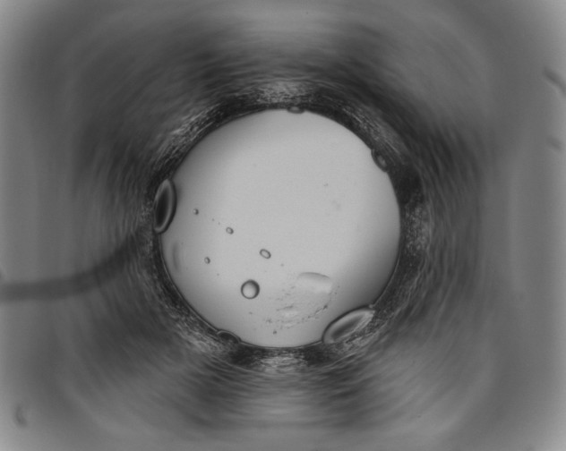 X0000096630505200802191159